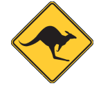Leonora Skippycoin ICG