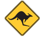 Leonora Skippycoin ICG Leonora Skippycoin ICG